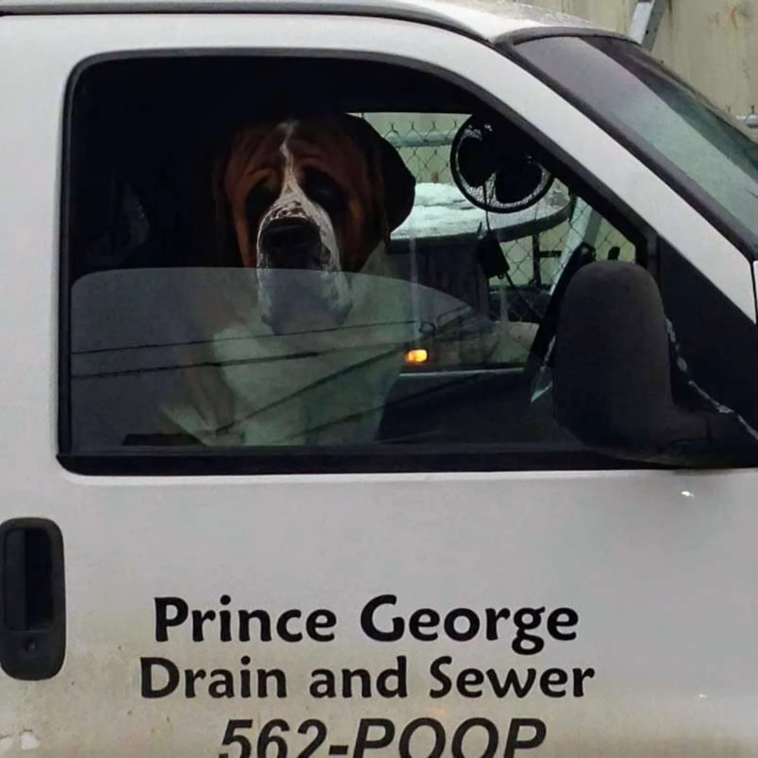PG Drain & Sewer van photo